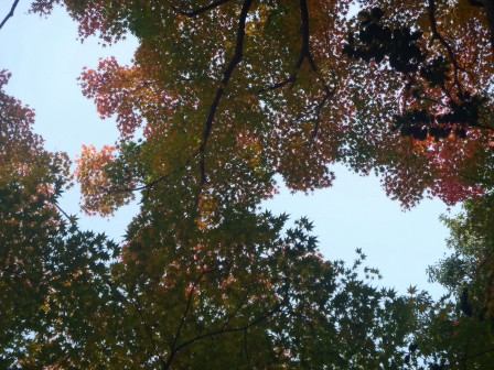 AutRe_dplus23.JPG, août 2023 AutRe_dplus23.JPG