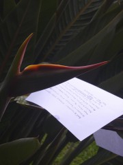 E_criturePre_teA_E_clore2016-4.jpg, avr. 2016 E_criturePre_teA_E_clore2016-4.jpg