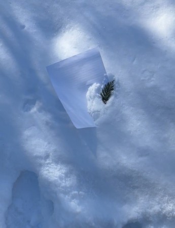 Hiver2025.jpg, fév. 2025 Hiver2025.jpg