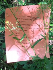 PhotoBilletAt2020.jpg, août 2020 PhotoBilletAt2020.jpg