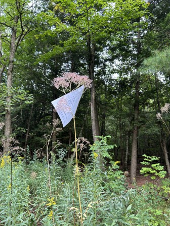 TexteFleursAutomne.jpeg, sept. 2025 TexteFleursAutomne.jpeg